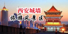 骚B孕肚裸照中国陕西-西安城墙旅游风景区