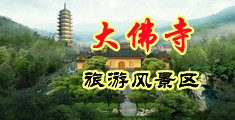 干黑丝美女流水小穴的视频中国浙江-新昌大佛寺旅游风景区